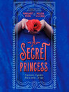 Cover image for A Secret Princess